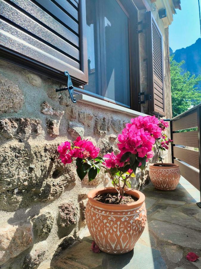 فيلا The Stone House كالامباكا المظهر الخارجي الصورة